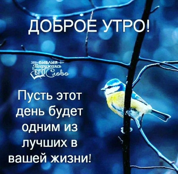 добра утра