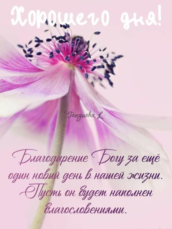 христианская открытка