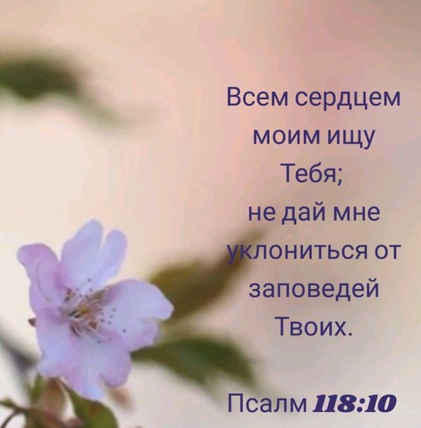 возлюби господа бога твоего всем сердцем