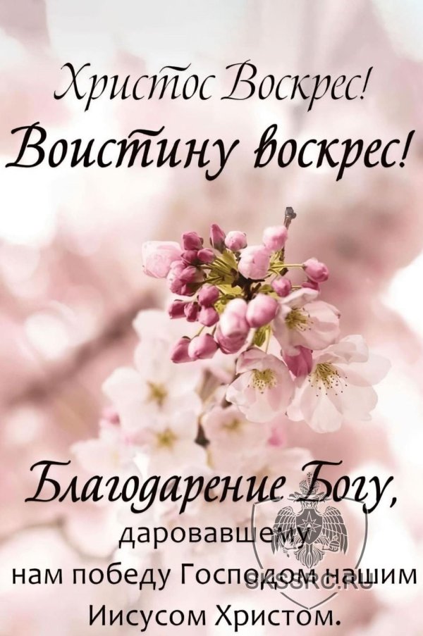 христос воскрес поздравление