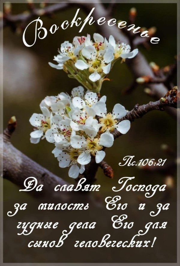 христос воскрес