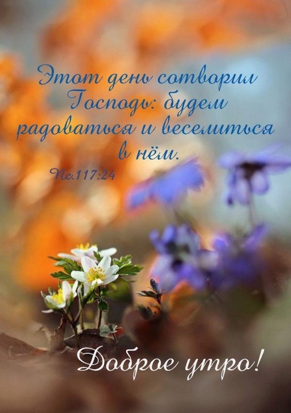 благословенного воскресения