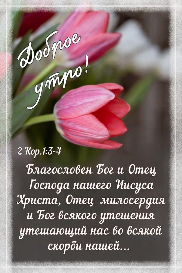 доброго утра православные