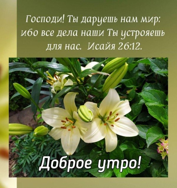 библейские стихи