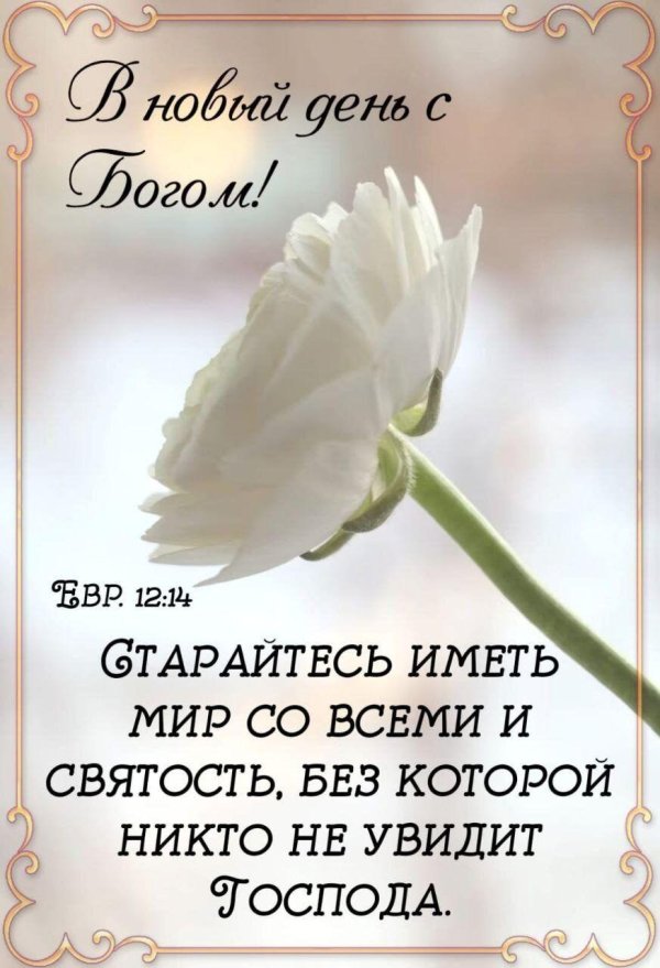 библейские стихи