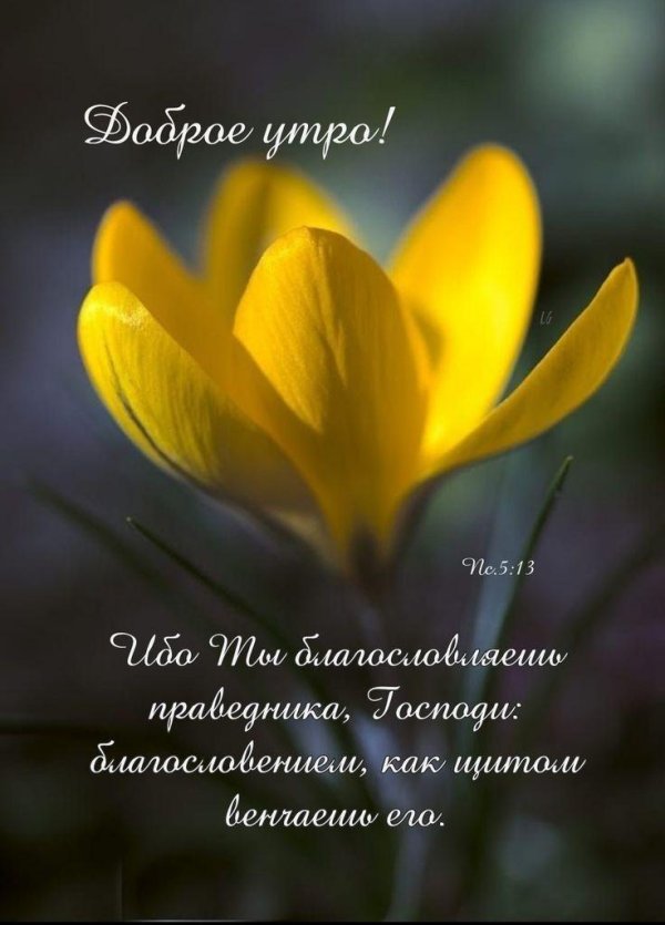 доброго весеннего дня