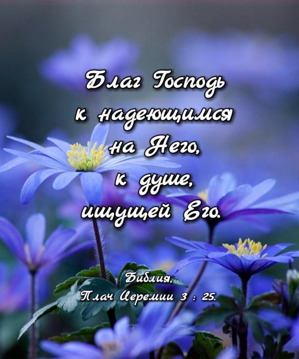 божиих благословений