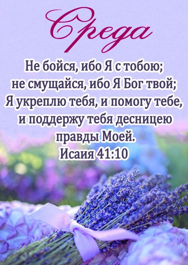 библейские стихи