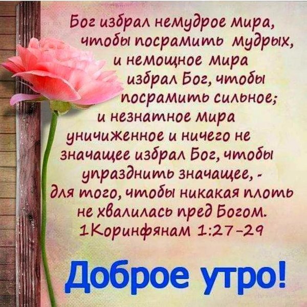 пожелание с добрым утром из библии