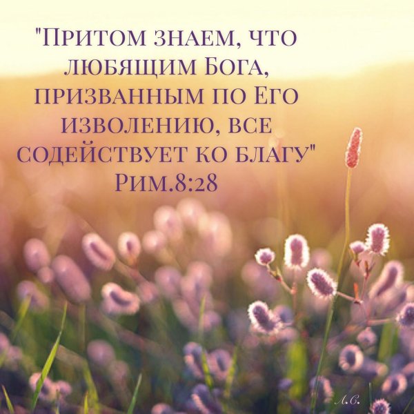 любящим бога все содействует ко благу