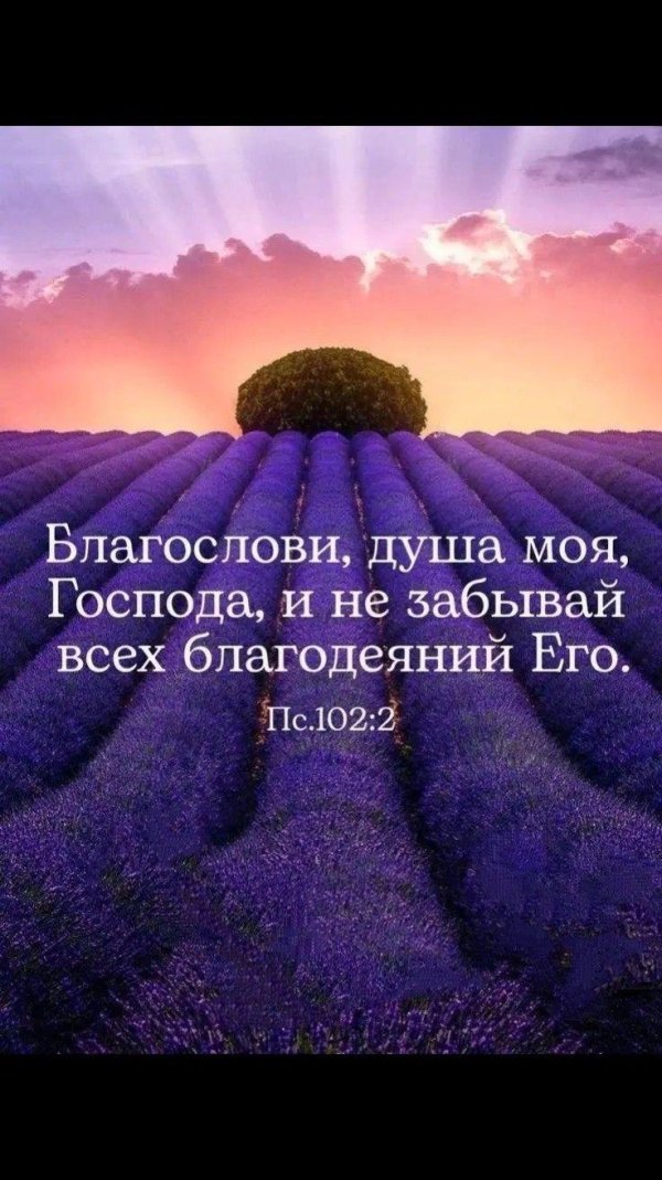 благослови душа моя