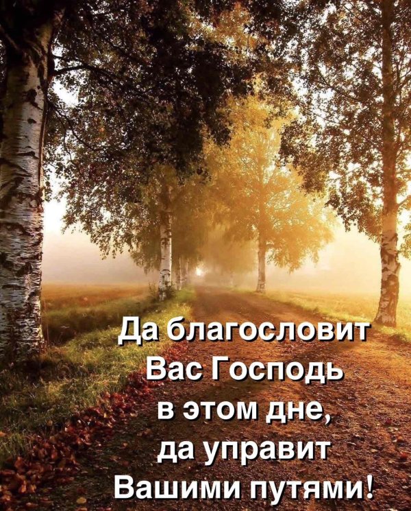 осенние пейзажи