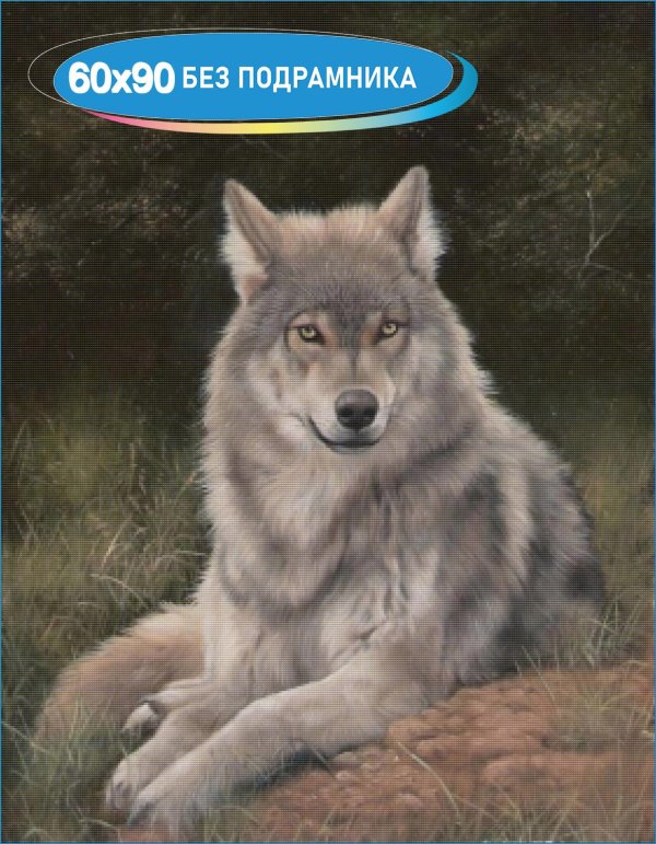 волки красивые