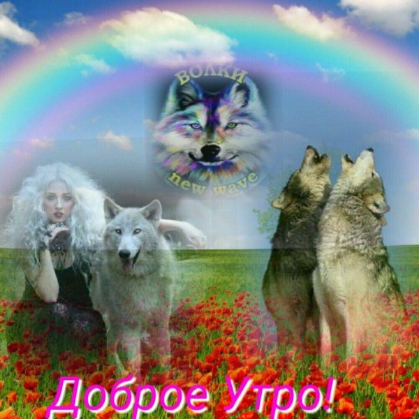 доброе утро с волком