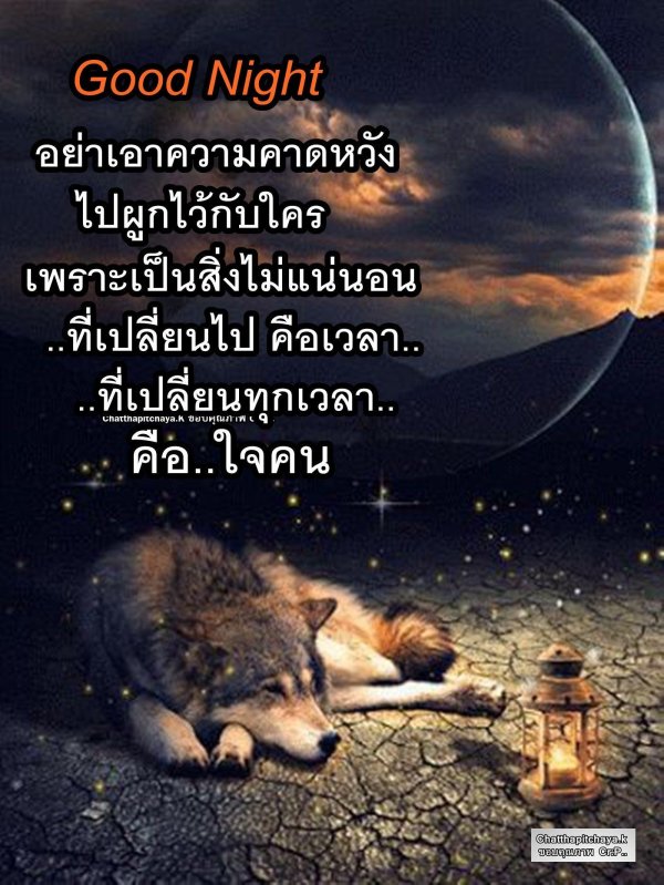 волки и луна