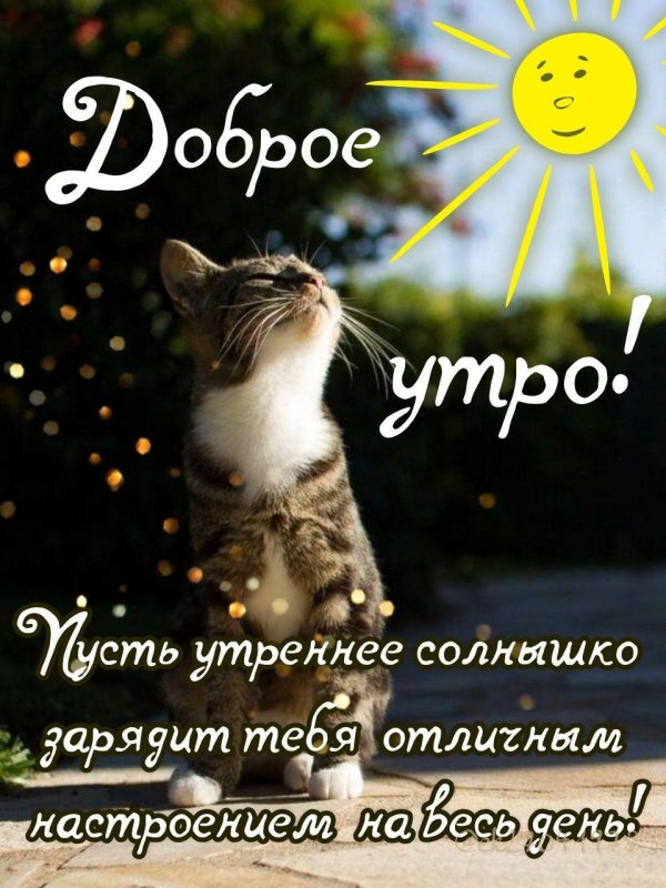 добра утра