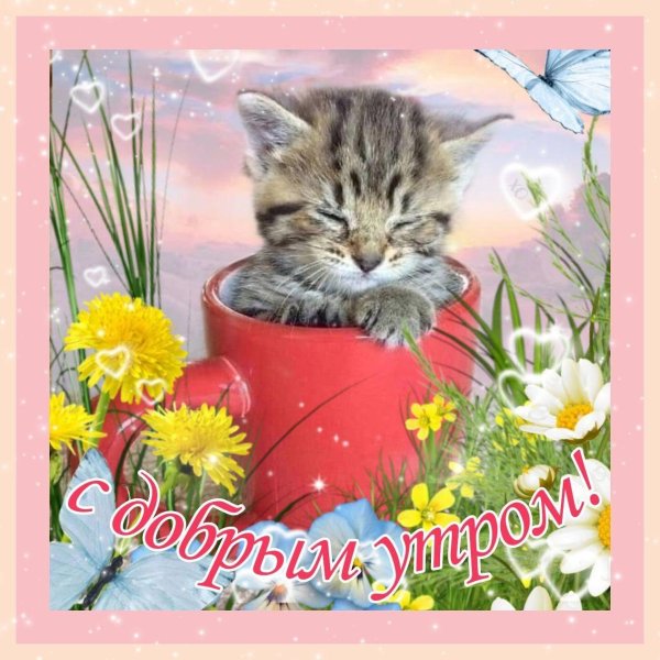 добра утра