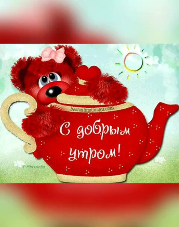 доброе утро медвежата
