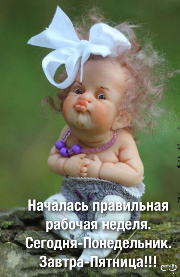 сегодня понедельник