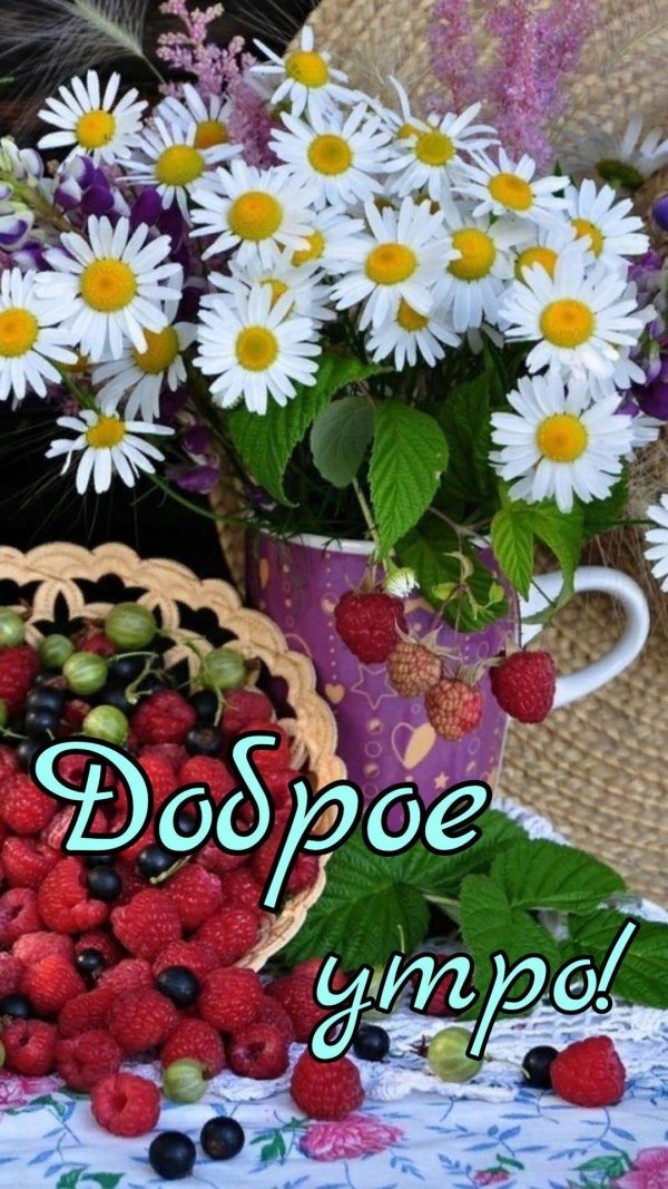 летние ягоды