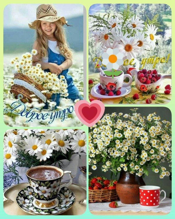 утра доброго летнего