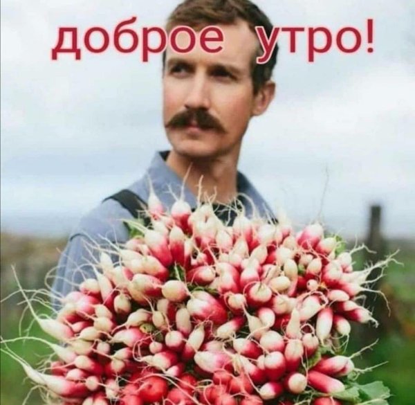 прикольная редиска