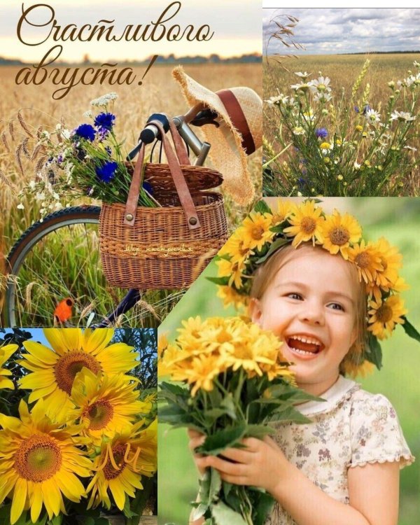 доброе августовское утречко