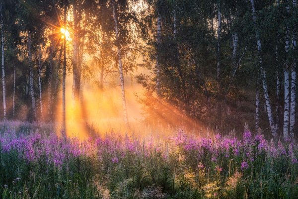 пейзаж рассвет