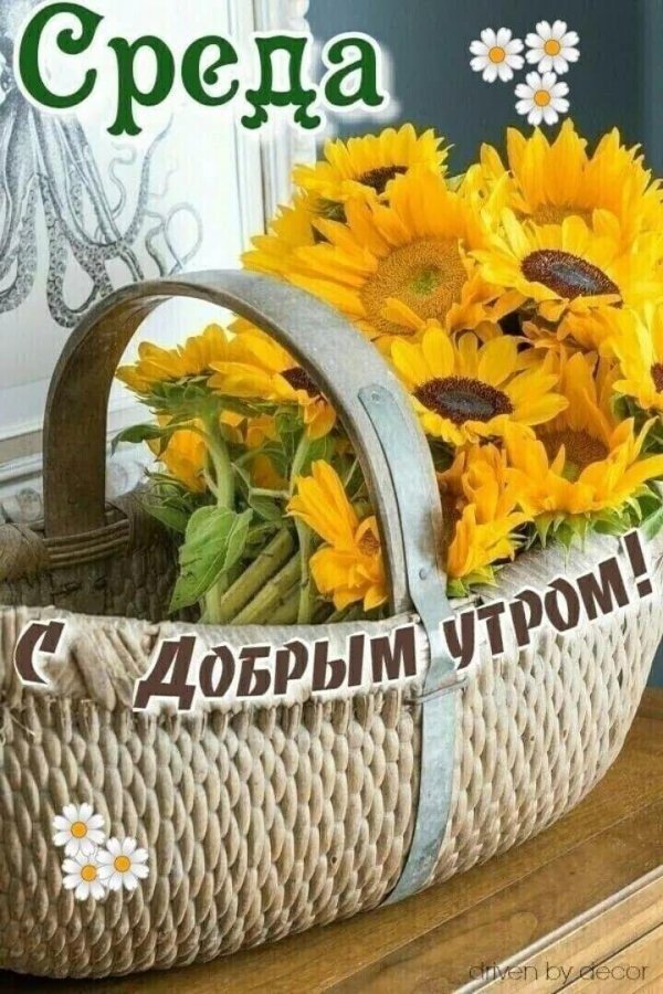 доброго утра среда