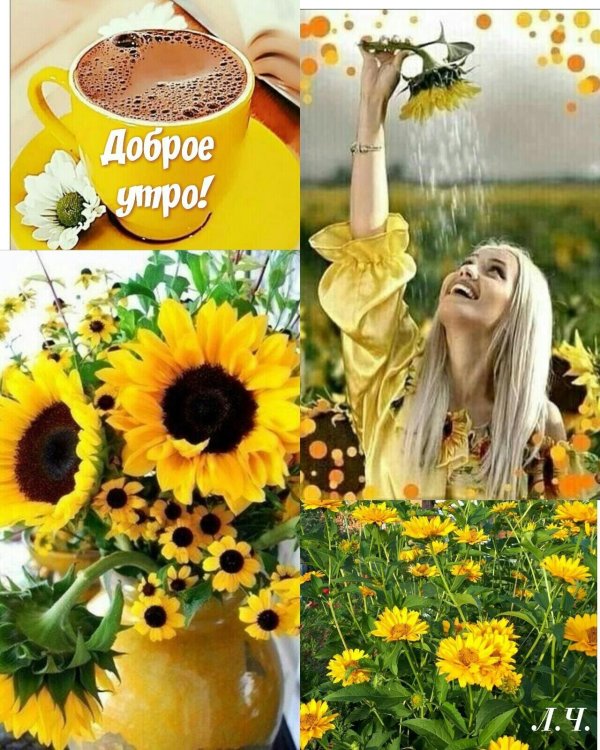 доброго утра лета