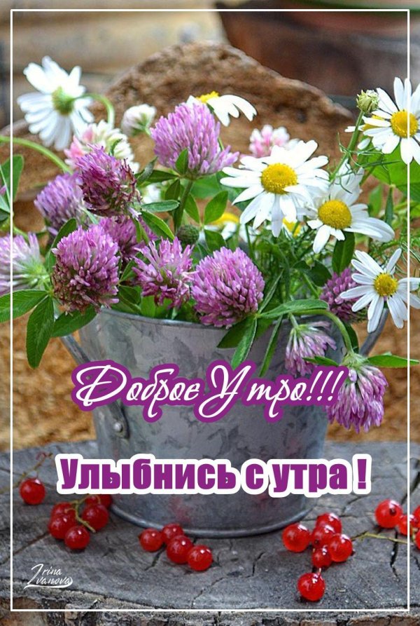 доброе утро ирина