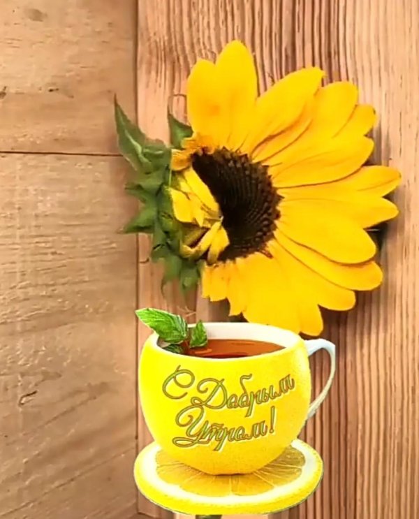 доброго утра воскресения