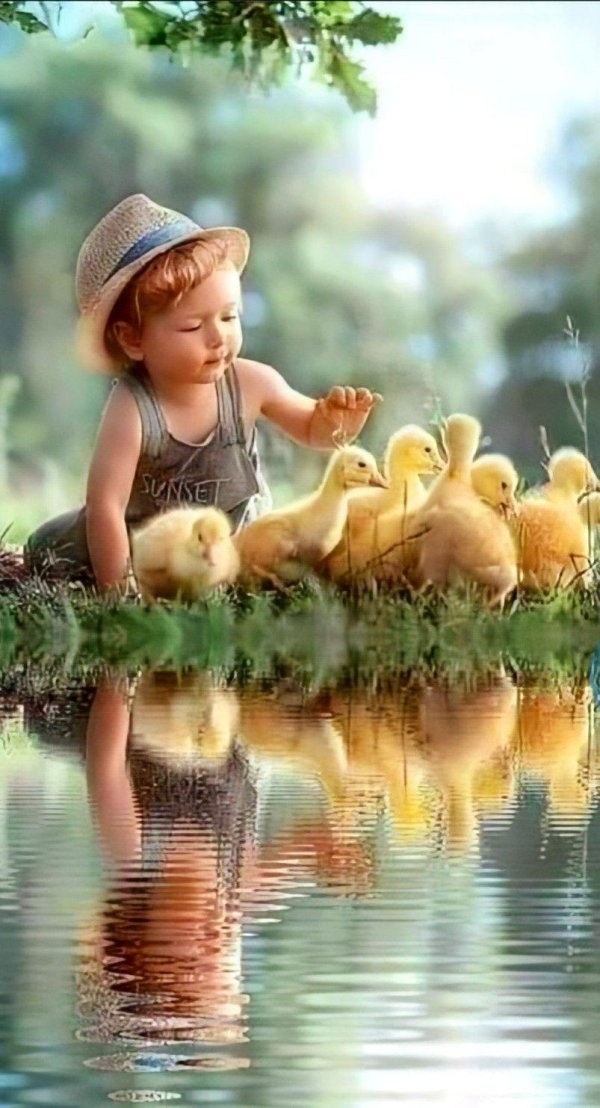 маленькие утята