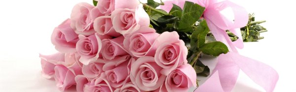 розовая роза