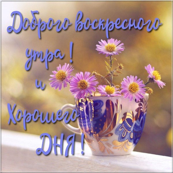 доброе утро удачного