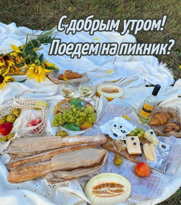 летний пикник