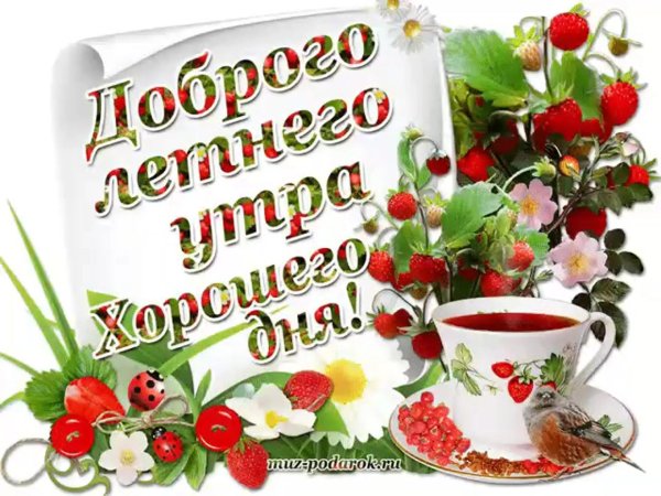 доброго утра хорошего настроения