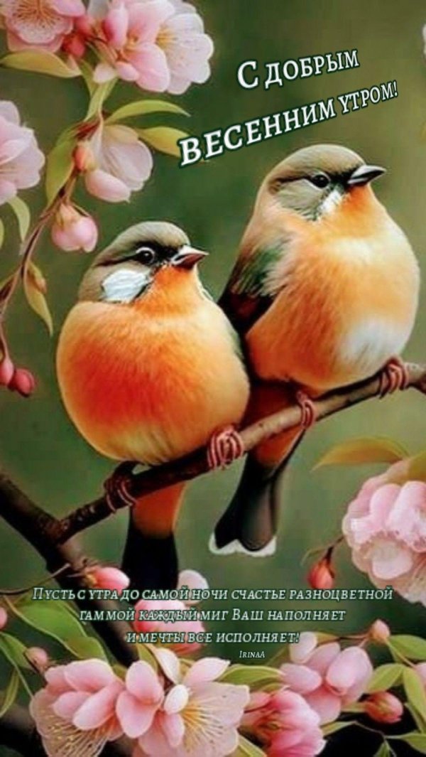 птички весна