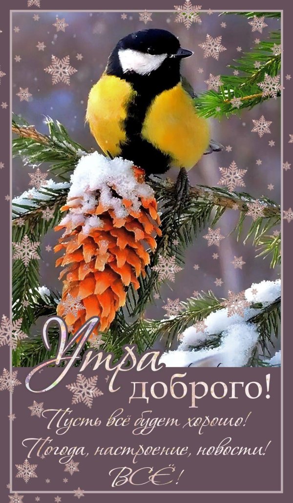 доброго утра зимнего