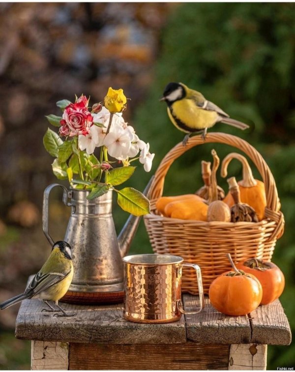 натюрморт с птицей