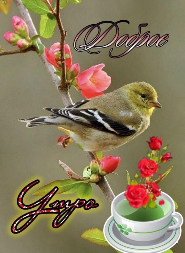 весенние птички