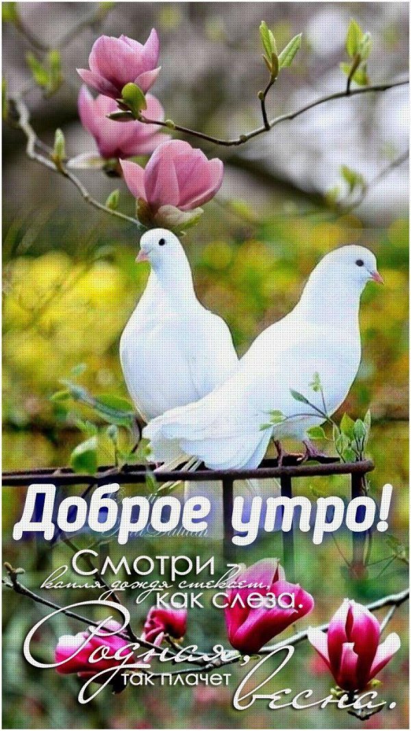 добра утра