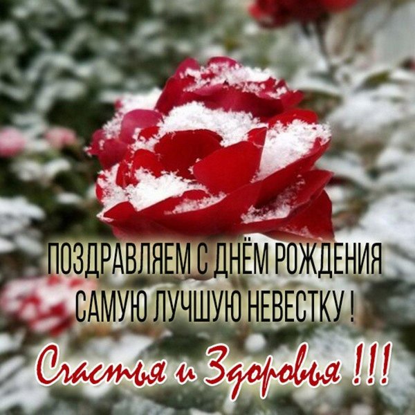 цветок в снегу