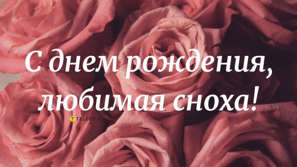 с днем рождения любимая сноха
