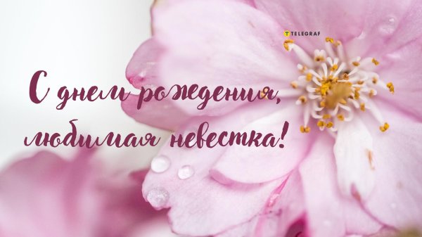 открытки невестке без текста