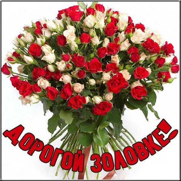 кустовая роза