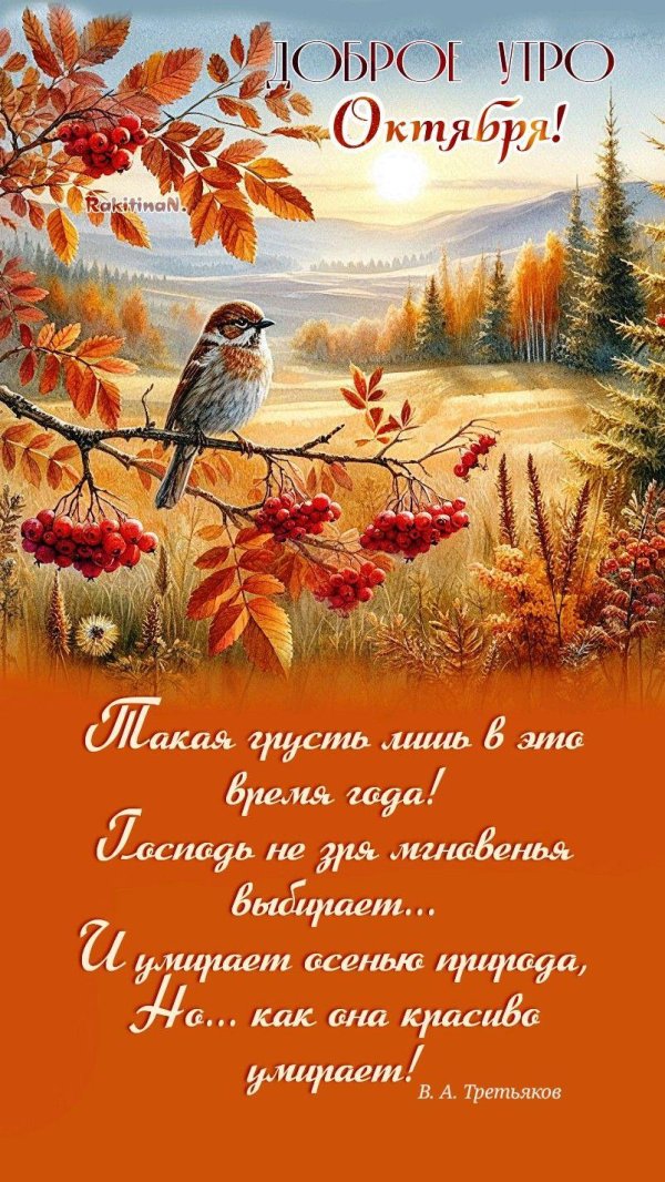 доброе утро октября красивые
