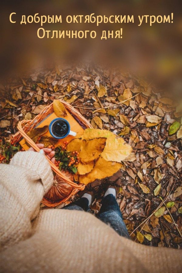 доброе утро в октябре