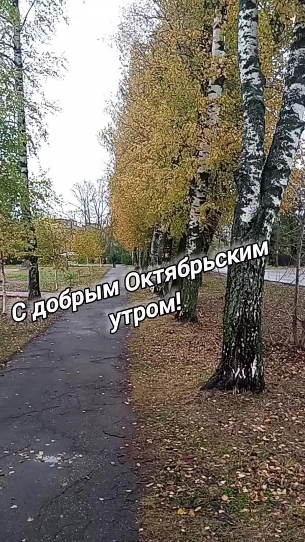 доброе утро осеннее природа