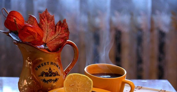 осеннее ноябрьское утро